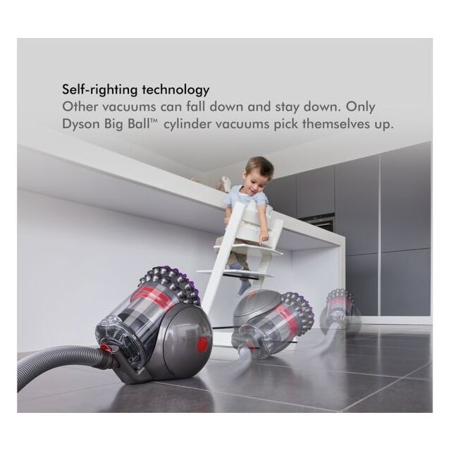 Dyson BIGBALLANIMAL2 Vacuum Cleaner- Iron/Sprayed Satin Purple/Iron