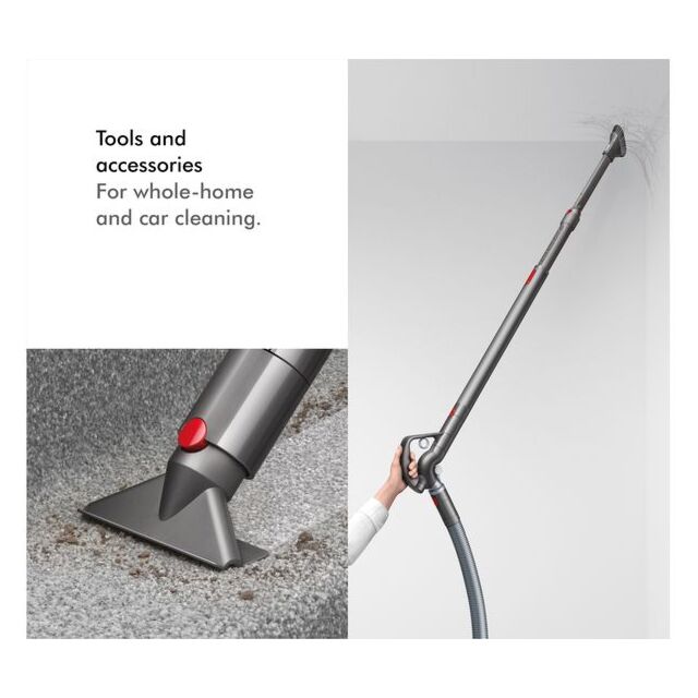 Dyson BIGBALLANIMAL2 Vacuum Cleaner- Iron/Sprayed Satin Purple/Iron