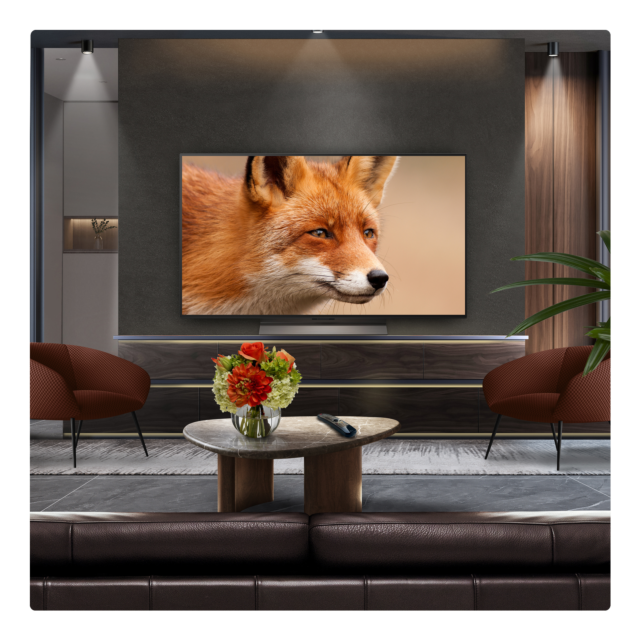 LG OLED evo AI C5 48inch 4K Smart TV